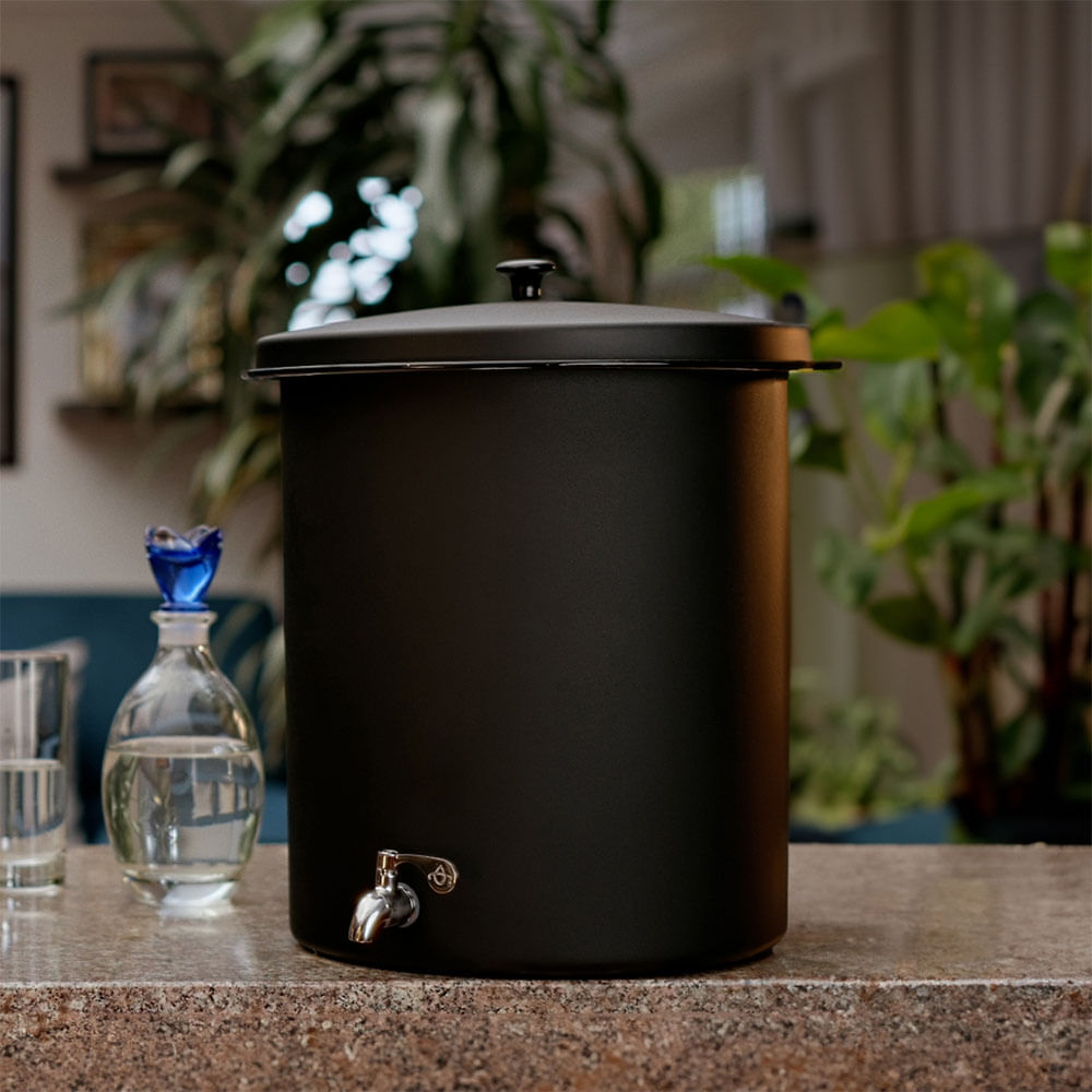 Filtro Agualogic Peltre Micromate 20L
